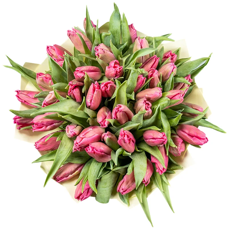 Букет из 45 розовых попугайных тюльпанов Марвел Пэррот (02056)