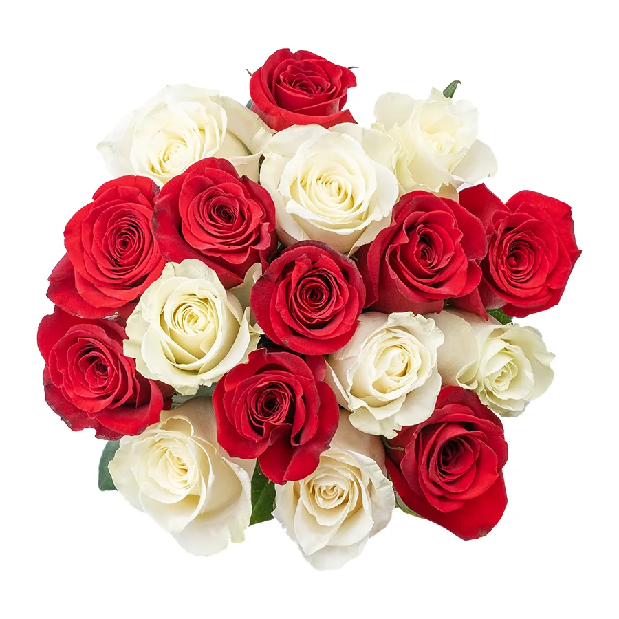 Букет из 17 красных и белых роз Фридом и Мондиаль (02219)