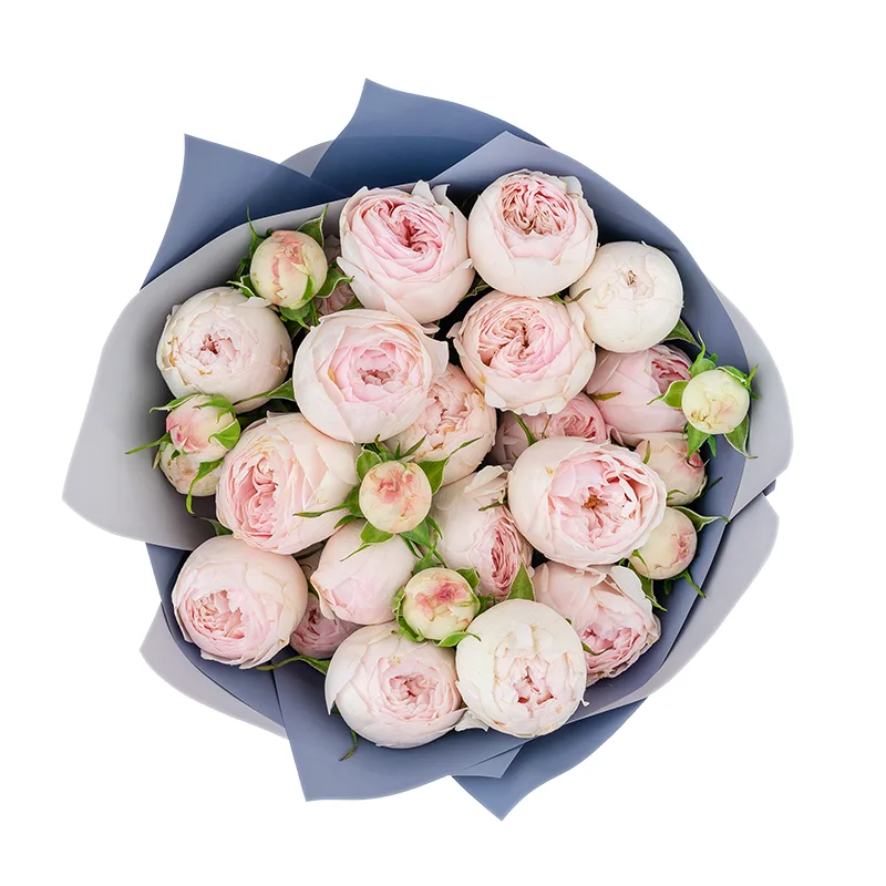 Букет из 5 нежно-розовых кустовых пионовидных роз Мансфилд Парк (01321)