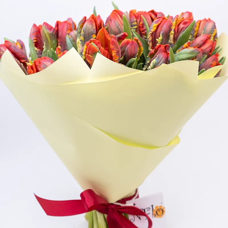 Букет из 39 красных попугайных тюльпанов Пэррот Рококо (01981)