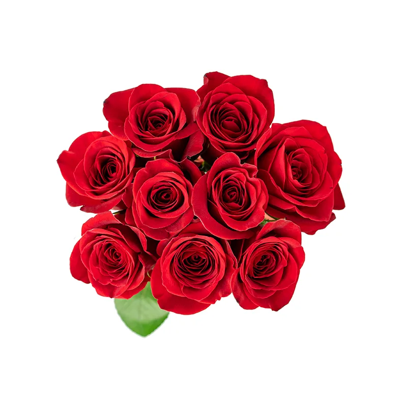 Букет из 9 красных роз Фридом (01150)
