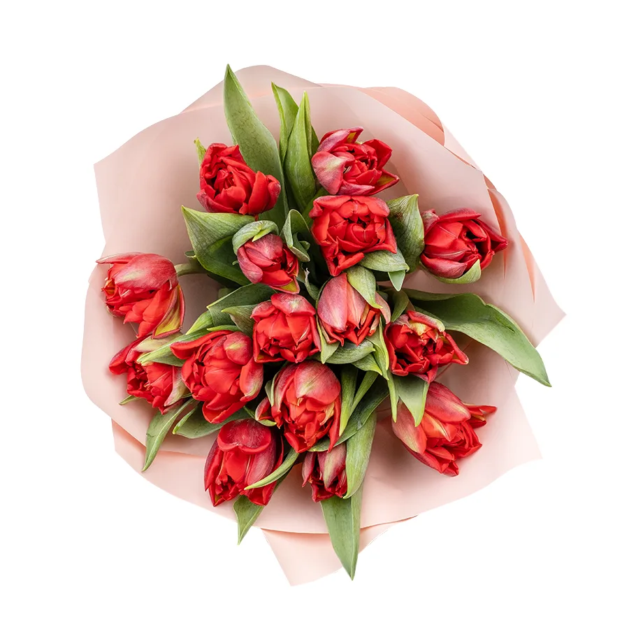 Букет из 15 красных махровых тюльпанов Ред Принцесс (02268)