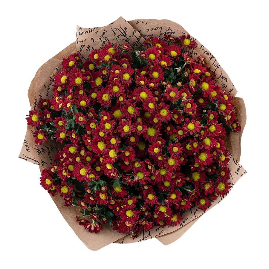Букет из 17 красных кустовых хризантем Сантини Мадиба Дунга Рэд (02941)