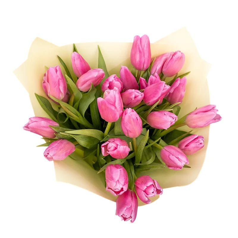 Букет из 25 розовых тюльпанов (01956)