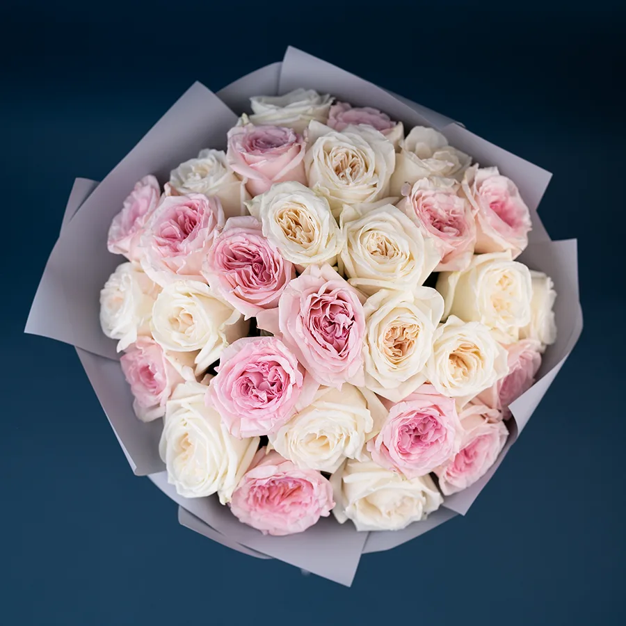 Букет из 29 ароматных белых и розовых садовых роз Вайт и Пинк О’Хара (02800)
