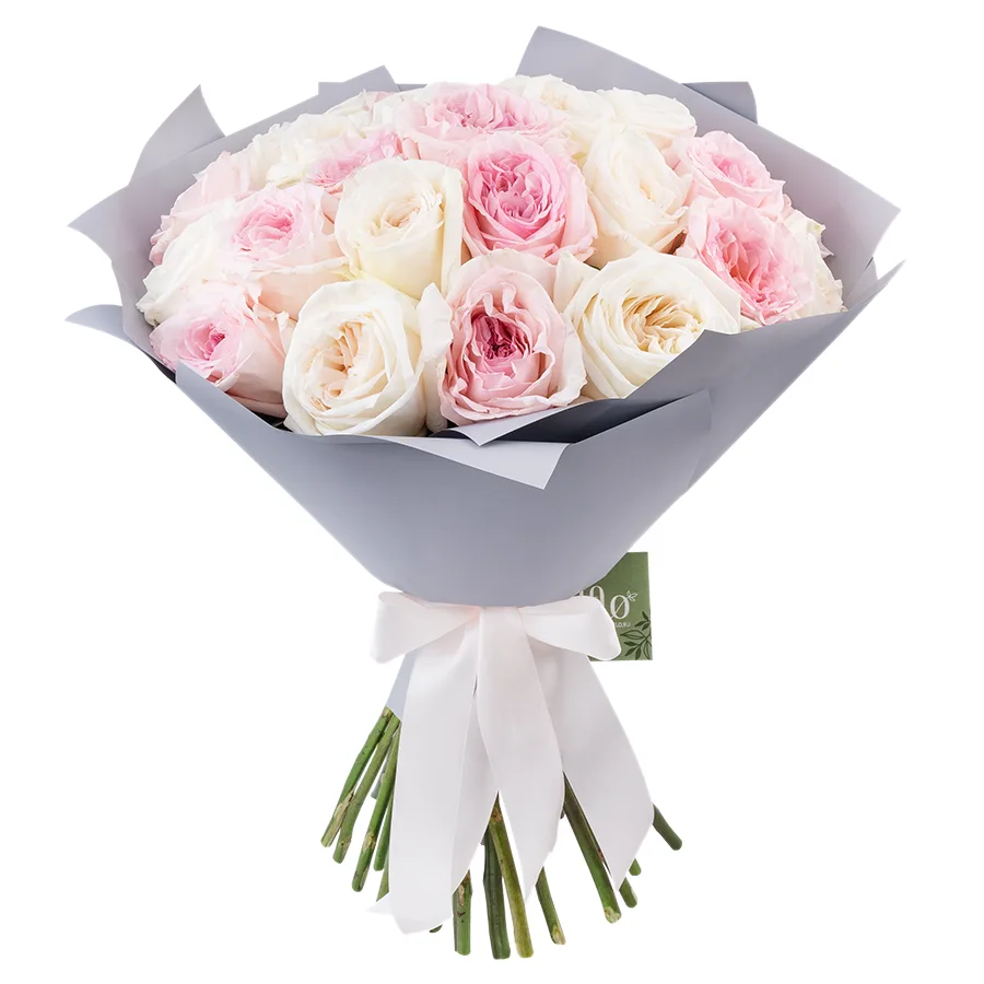 Букет из 27 ароматных белых и розовых садовых роз Вайт и Пинк О’Хара (02801)