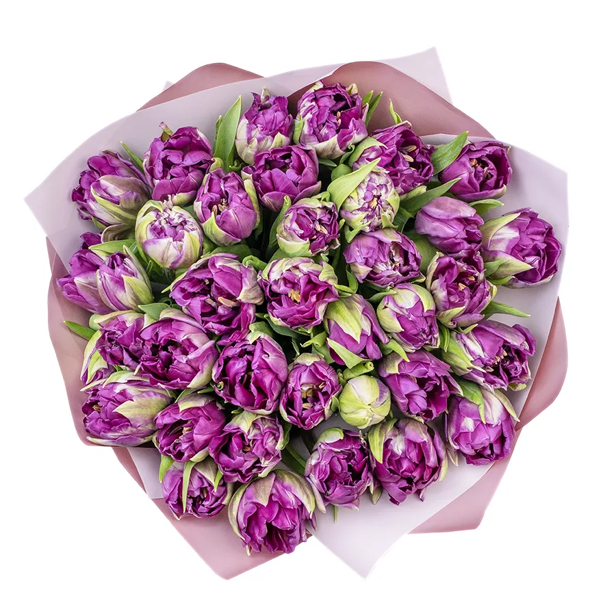 Букет из 37 фиолетовых пионовидных тюльпанов Пурпл Пеони (02316)