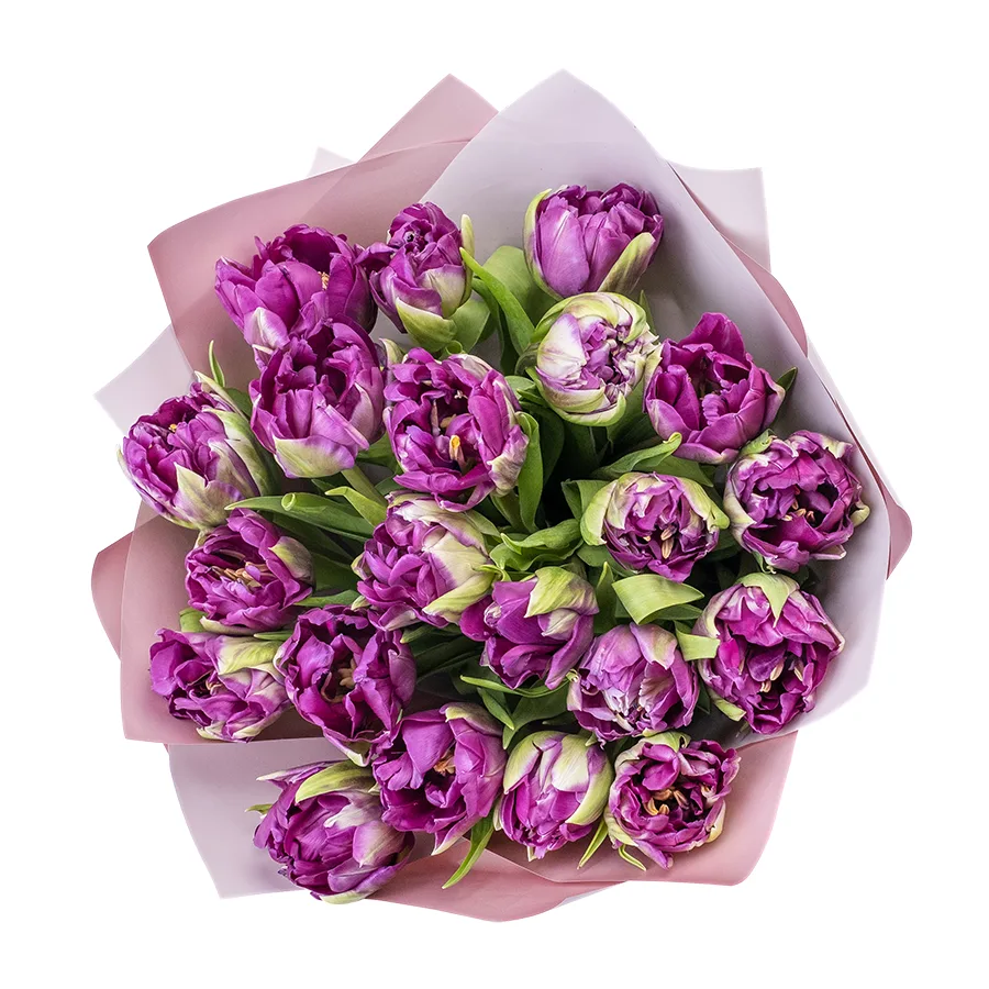 Букет из 21 фиолетового пионовидного тюльпана Пурпл Пеони (02324)