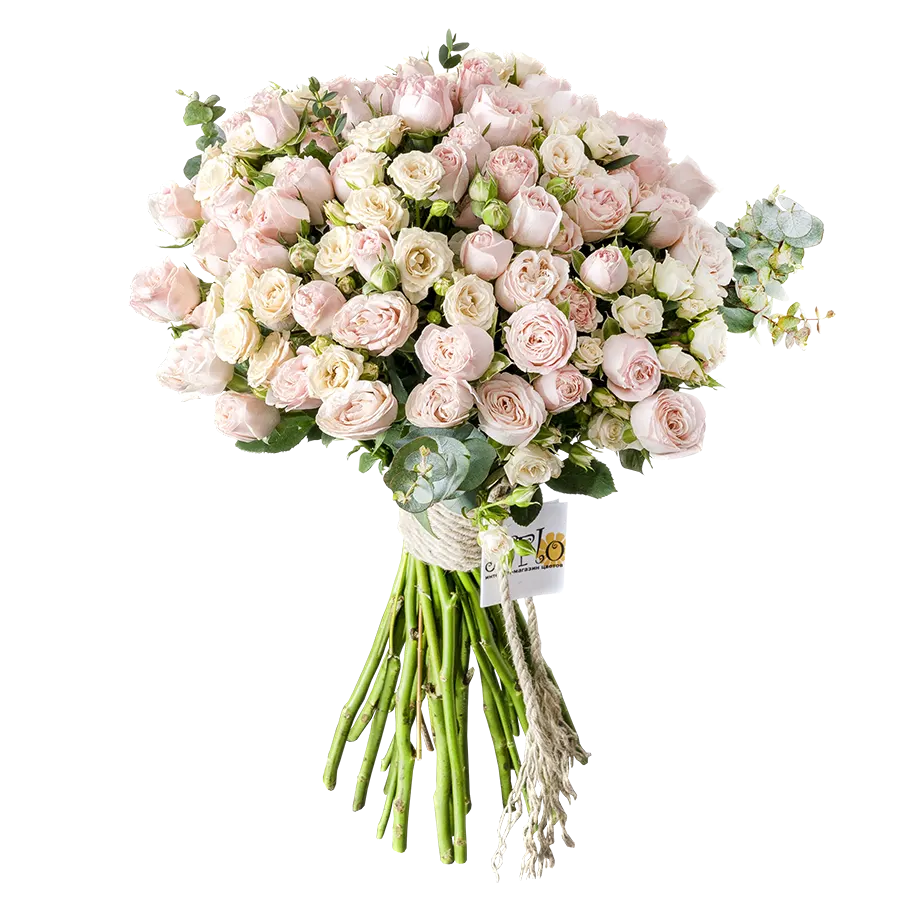 Букет из 25 нежных кустовых роз (00923)