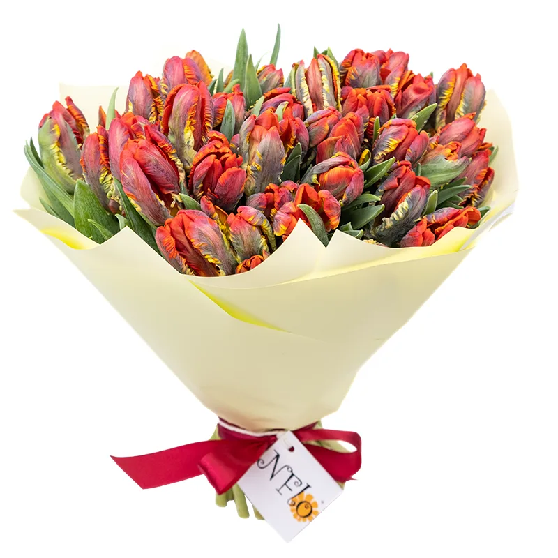 Букет из 49 красных попугайных тюльпанов Пэррот Рококо (01976)