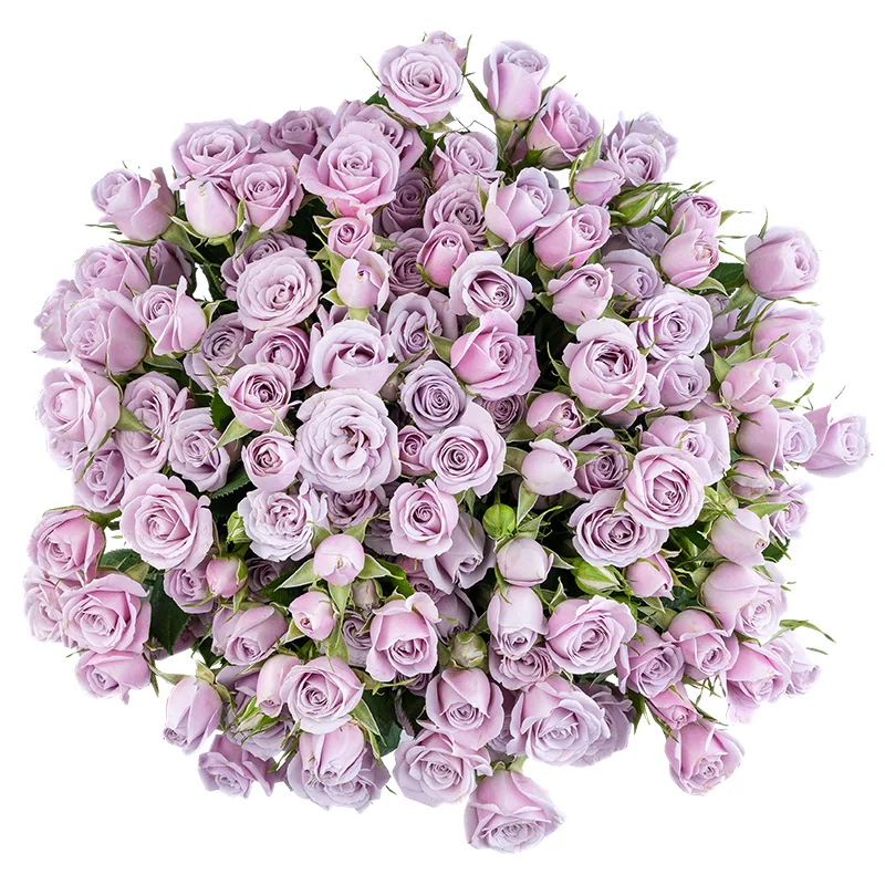 Букет из 27 нежно-сиреневых кустовых роз Сильвер Шадоу (01845)