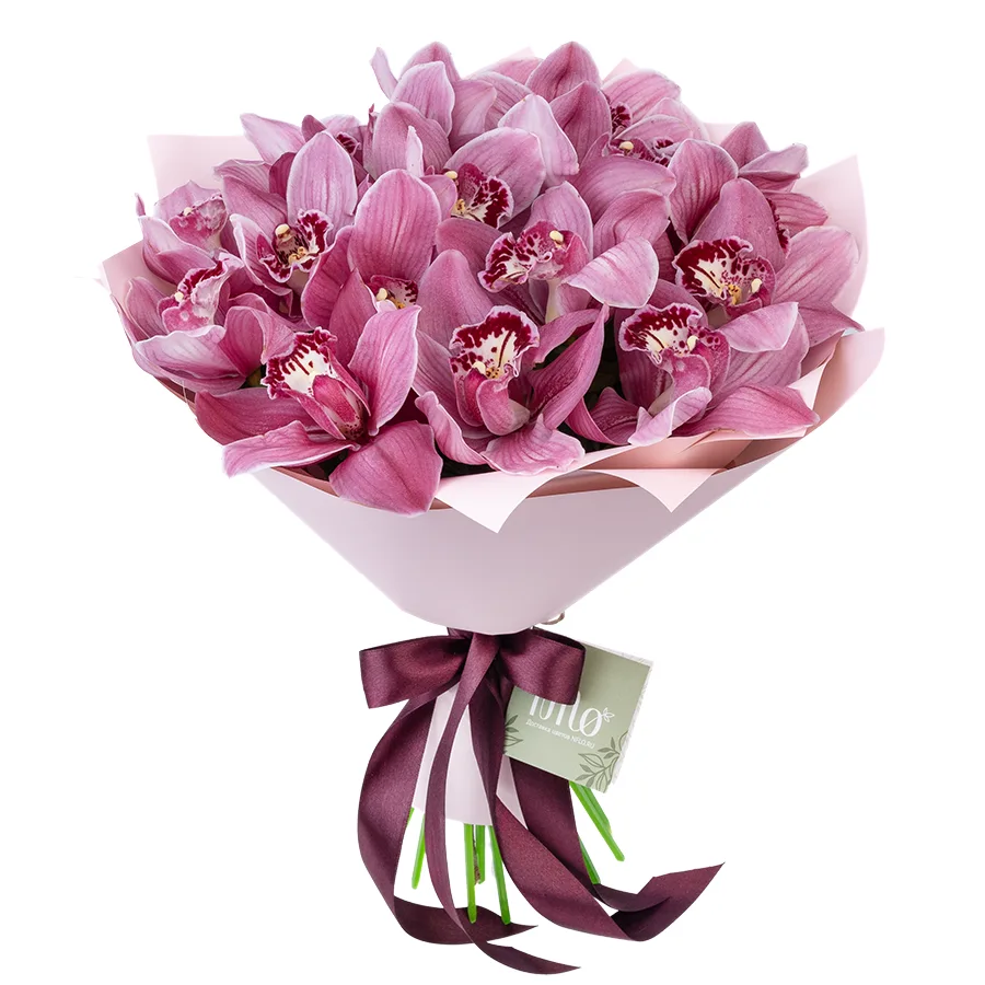 Букет из 17 розовых орхидей Цимбидиум (03058)