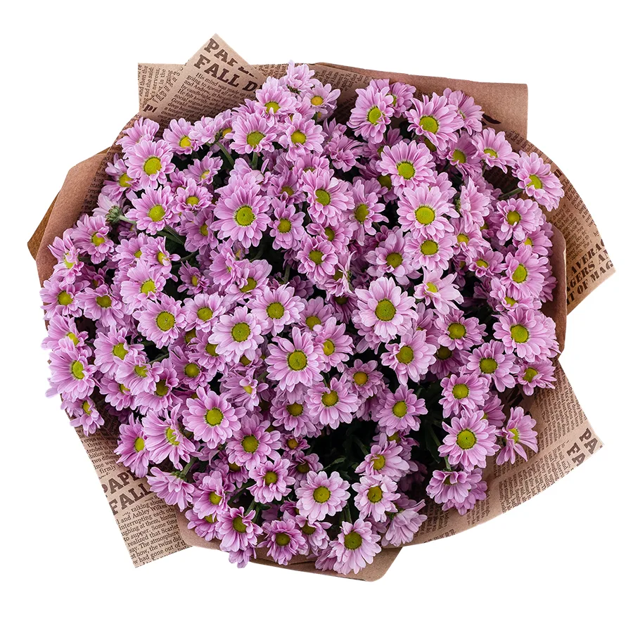 Букет из 21 розовой кустовой хризантемы Сантини Крисси (02825)