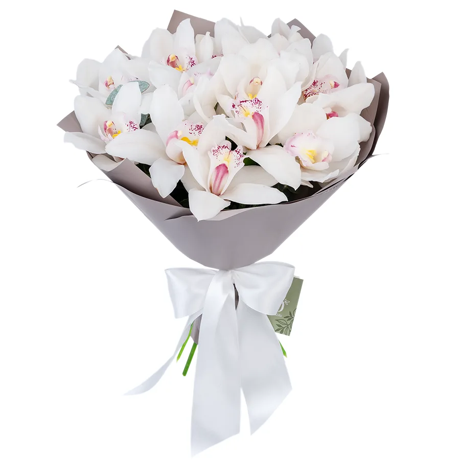 Букет из 17 белых орхидей Цимбидиум (03063)