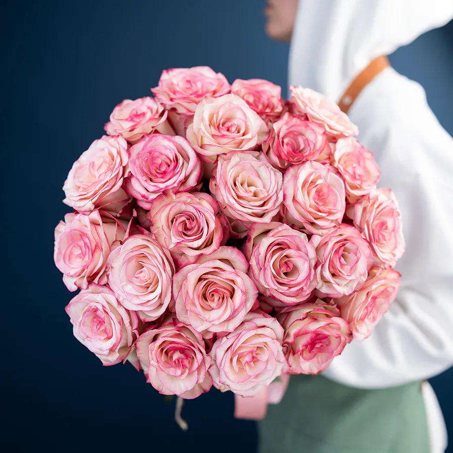 Букет из 23 бело-розовых с малиновыми краями роз Палома (03098)