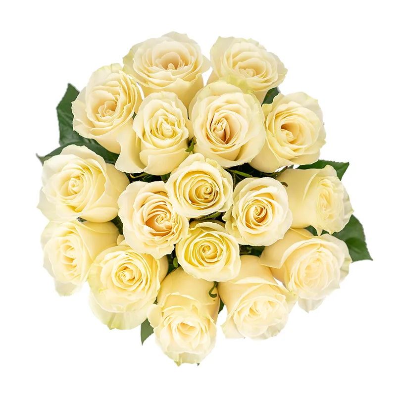 Букет из 17 белых роз Аваланж (01154)