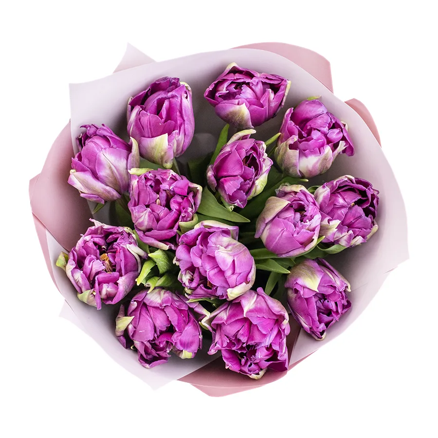 Букет из 13 фиолетовых пионовидных тюльпанов Пурпл Пеони (02328)