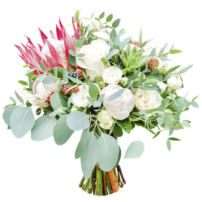Букет невесты из пионов и роз с протеей, ежевикой и эхеверией (00979)