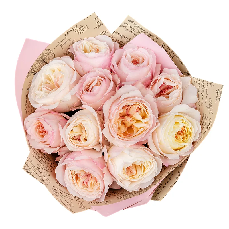 Букет из 11 розово-кремовых садовых роз Дэвида Остина Кейра (01382)
