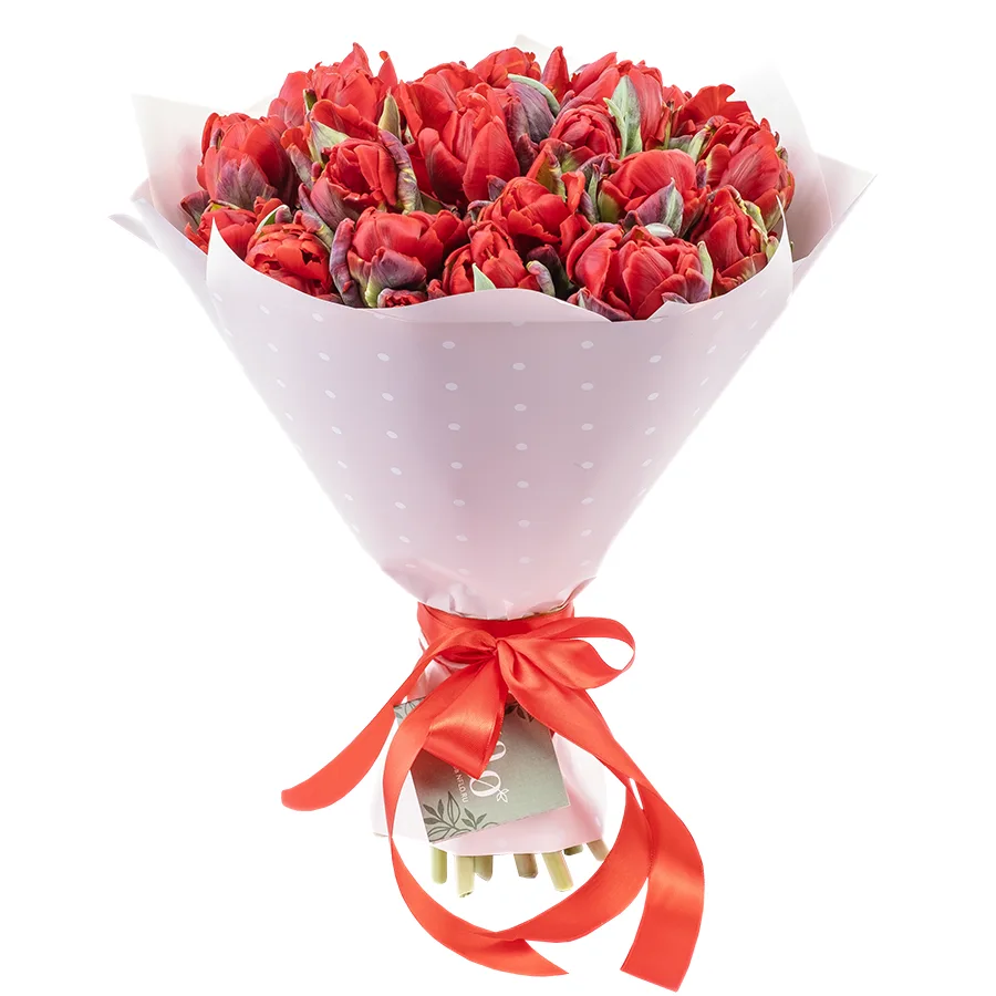 Букет из 23 красных густомахровых тюльпанов Рококо Дабл (02271)