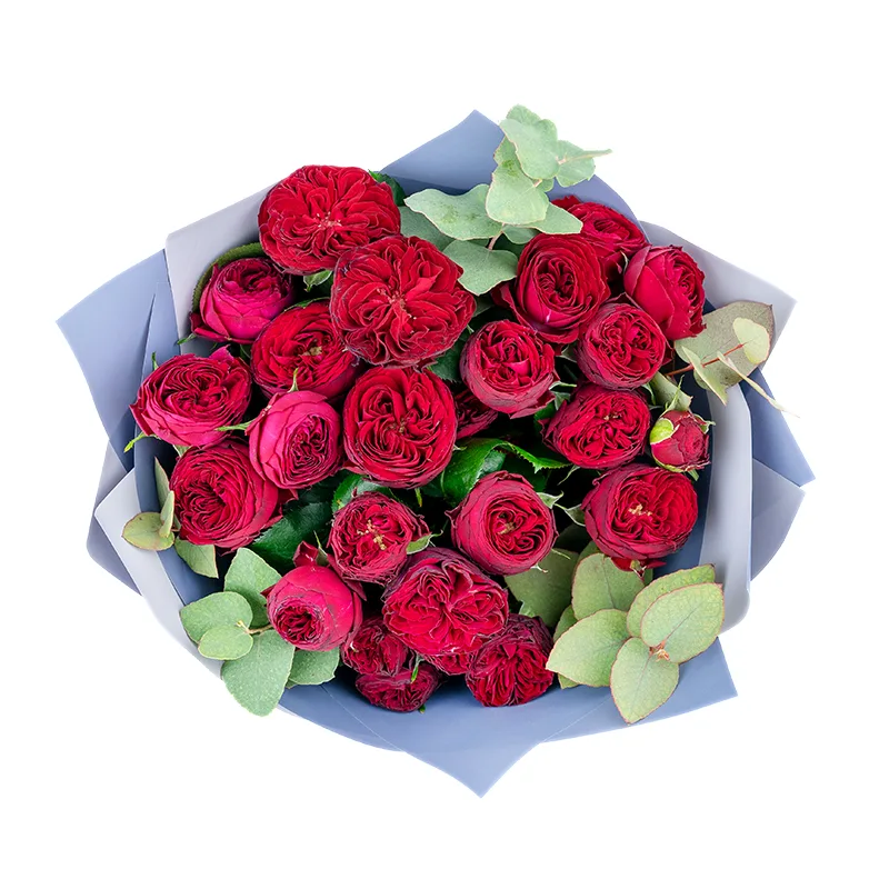 Букет из 9 бордовых кустовых пионовидных роз Марун (01310)