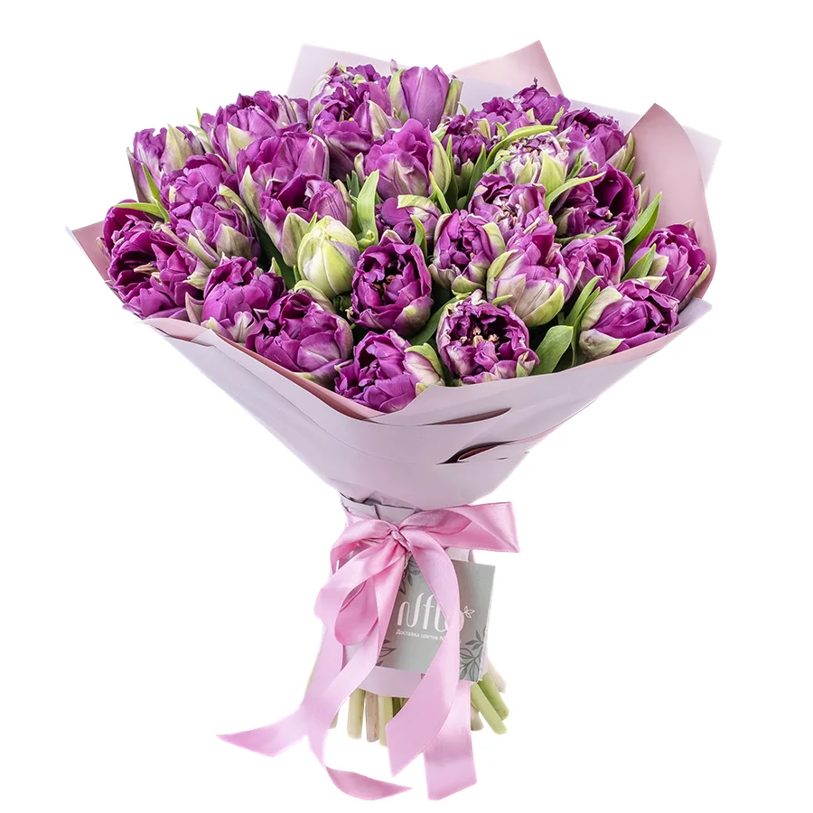 Букет из 35 фиолетовых пионовидных тюльпанов Пурпл Пеони (02317)