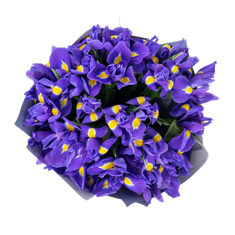 Букет из 27 фиолетово-синих ирисов Блю Мэйджик (01183)