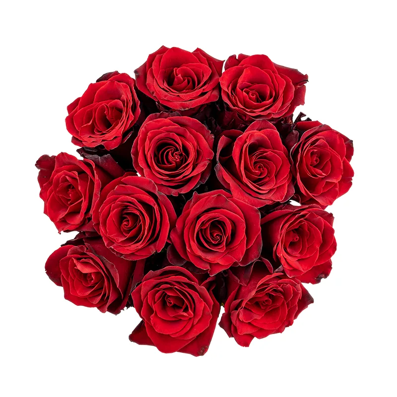 Букет из 13 тёмно-красных роз Эксплорер (01553)