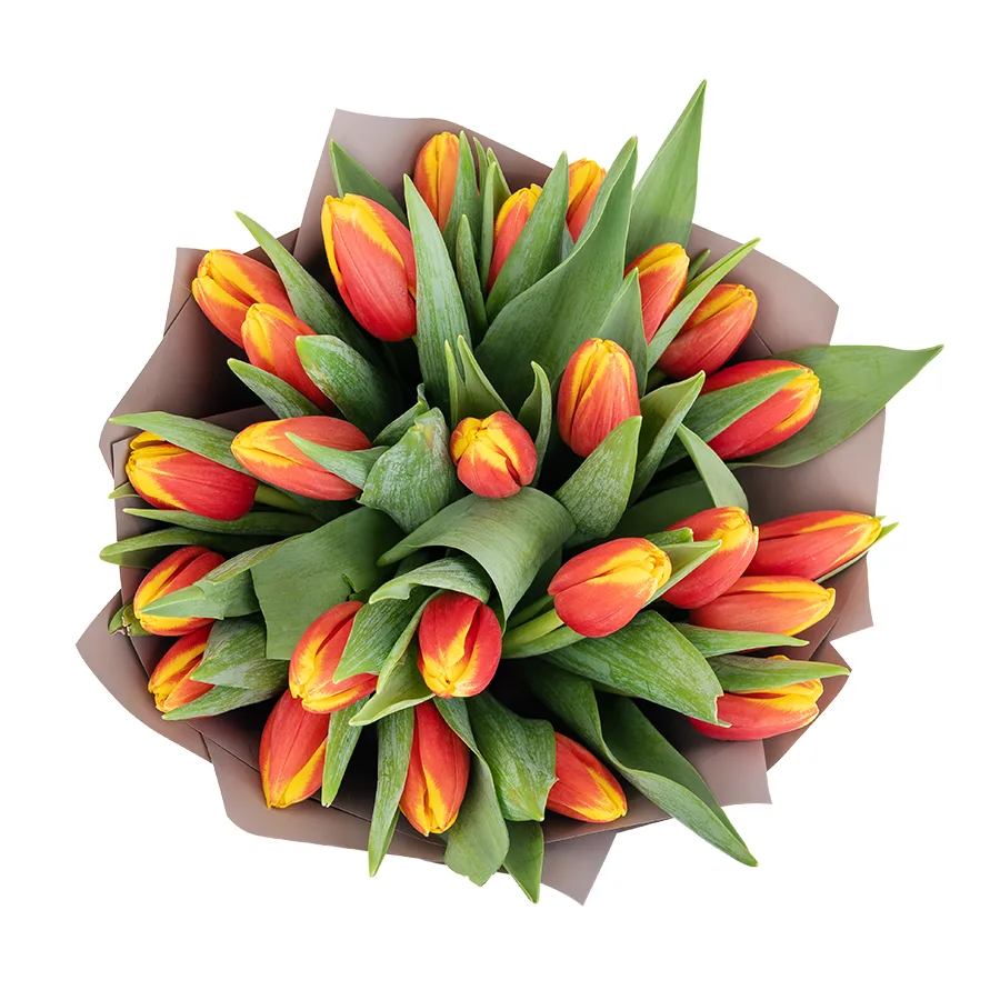 Букет из 25 оранжево-красных тюльпанов (03039)