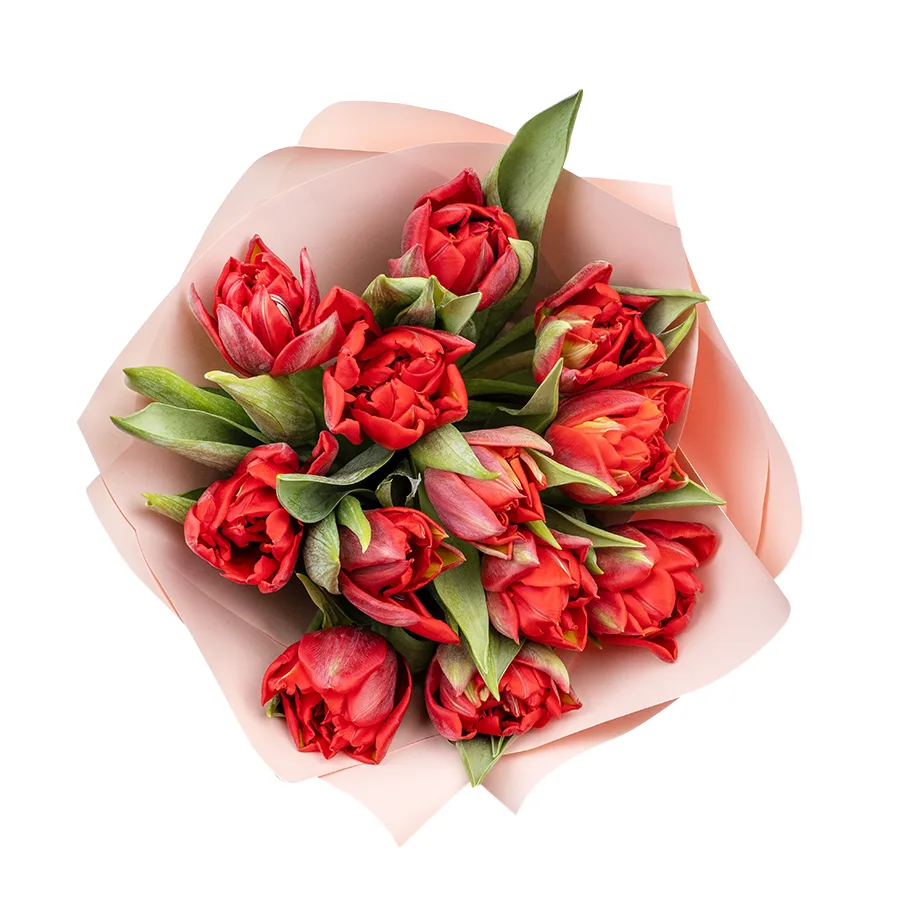 Букет из 13 красных махровых тюльпанов Ред Принцесс (02269)