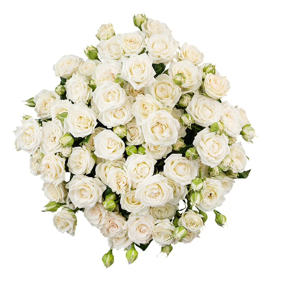 Букет из 11 белых кустовых роз Жозефина (02782)