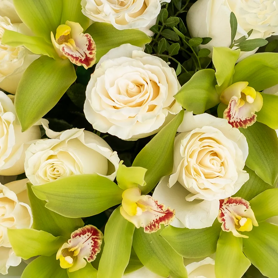 Букет из 17 цветов — белых роз Мондиаль и зеленых орхидей Цимбидиум (02481)