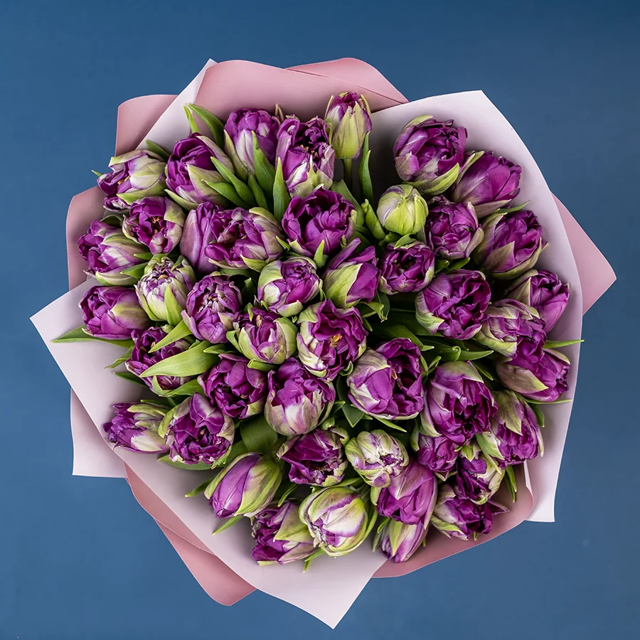 Букет из 45 фиолетовых пионовидных тюльпанов Пурпл Пеони (02312)