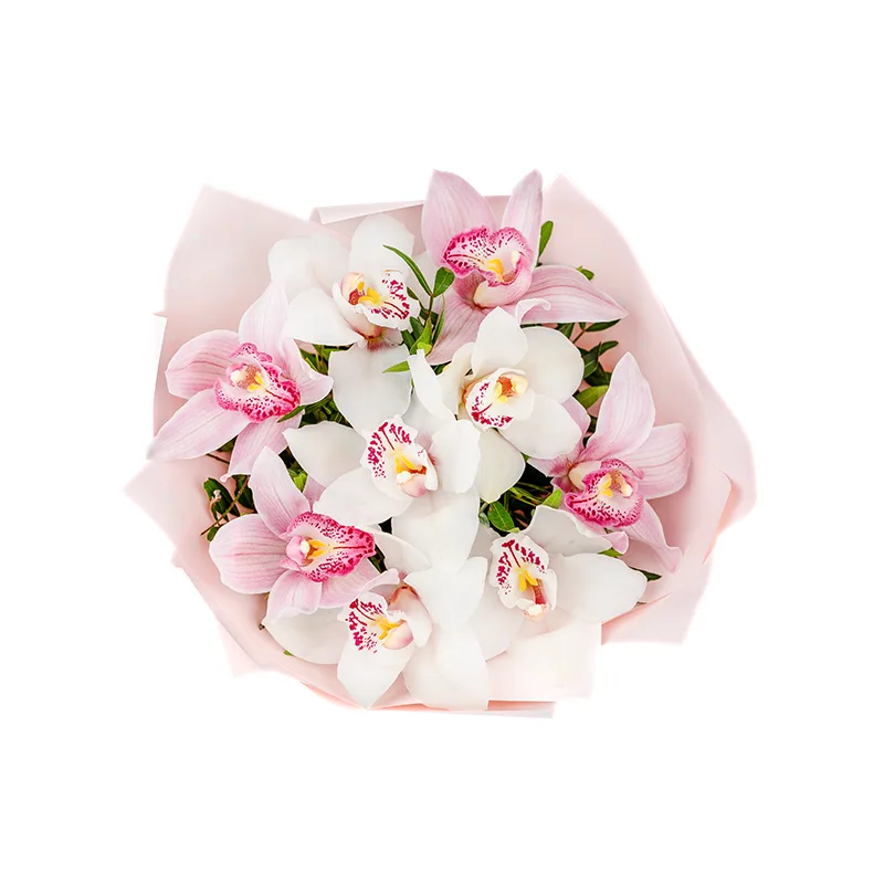 Букет из 9 розовых и белых орхидей Цимбидиум (01199) купить с доставкой в  Архангельске