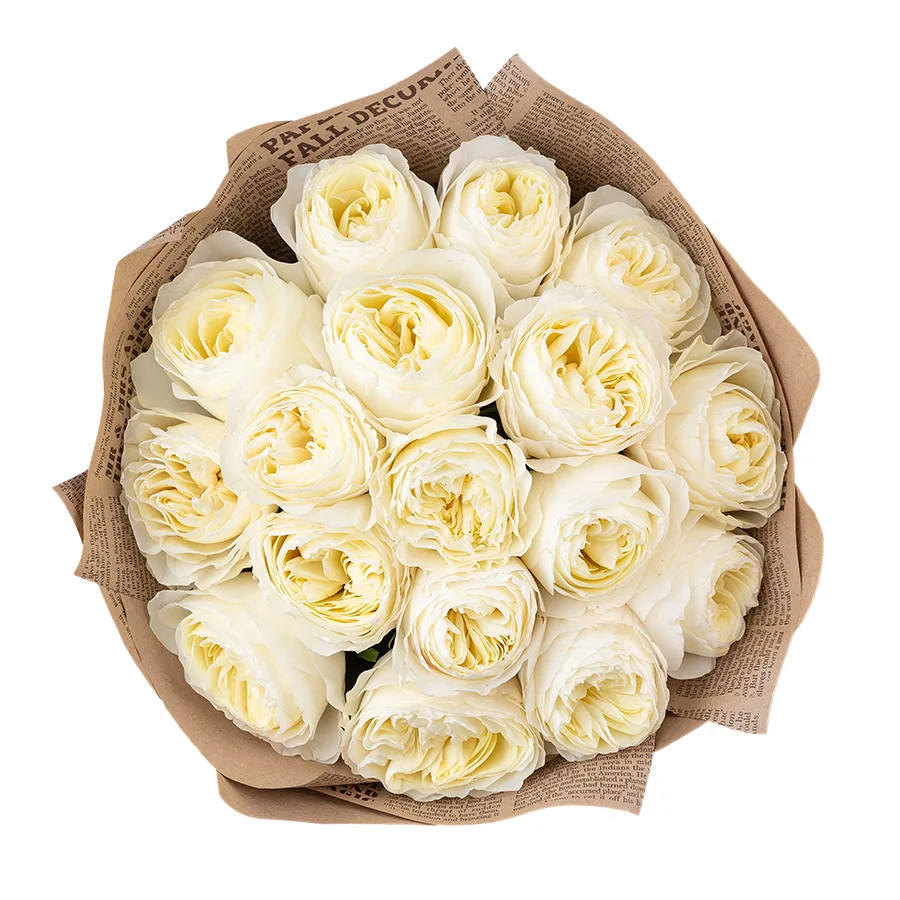 Букет из 17 бело-кремовых пионовидных роз Колдплей (02874)