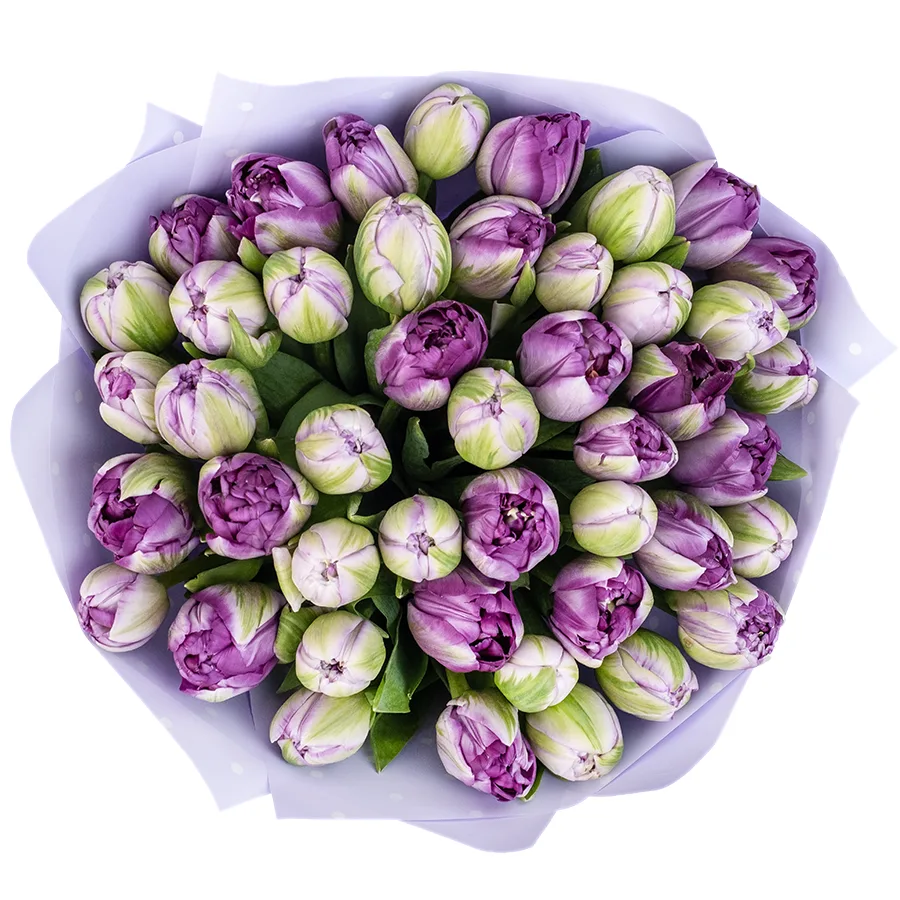 Букет из 45 фиолетовых махровых тюльпанов Сайгон (02380)