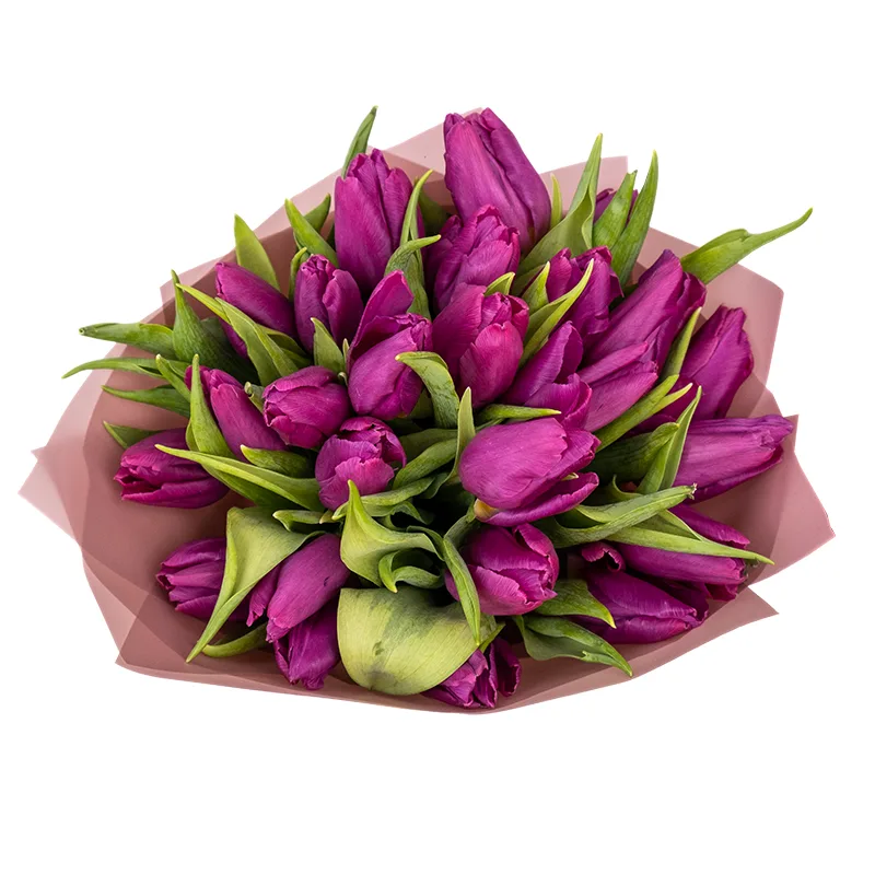 Букет из 25 фиолетовых тюльпанов (01924)