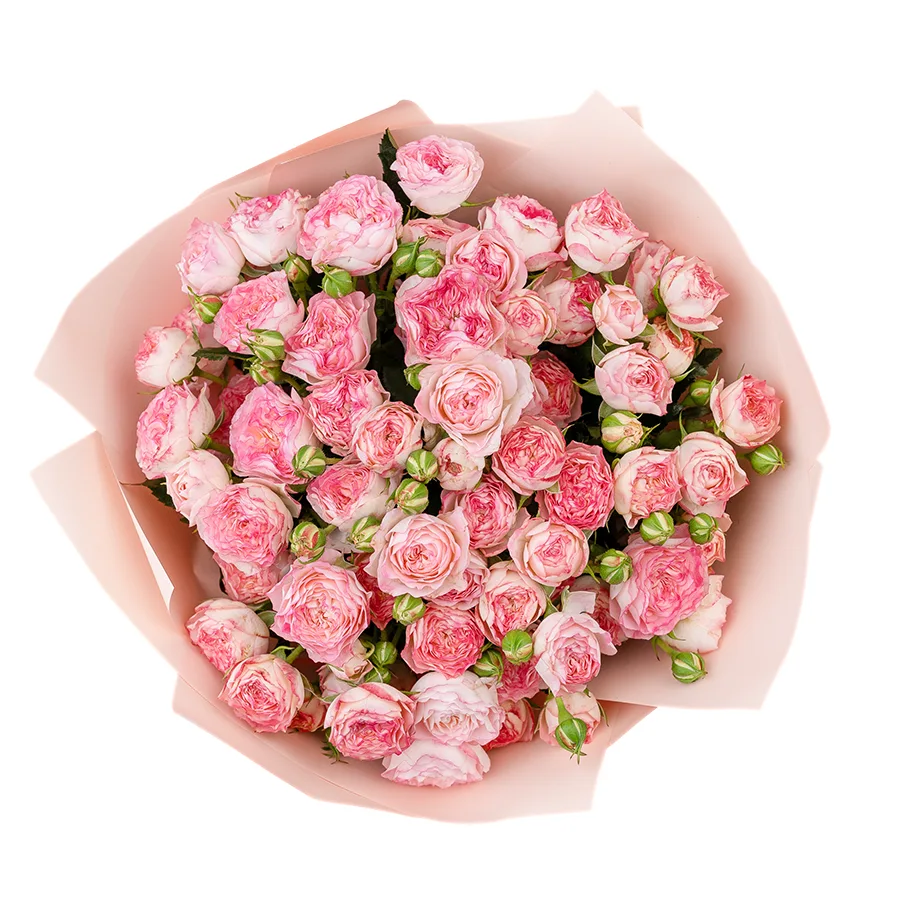 Букет из 13 нежно-розовых с яркими краями кустовых роз Свит Старс (02601)