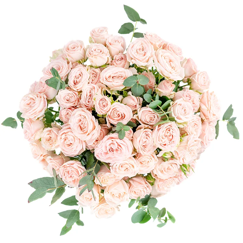 Букет из 15 розовых кустовых роз Бомбастик (01247)