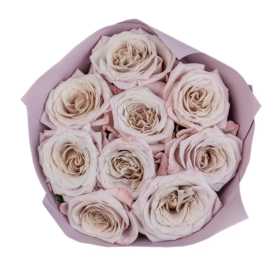 Букет из 9 серебристо-лавандовых садовых роз Мента (02567)