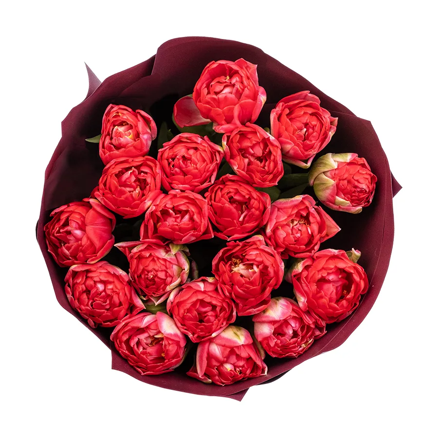Букет из 19 красных махровых тюльпанов Памплона (02410)