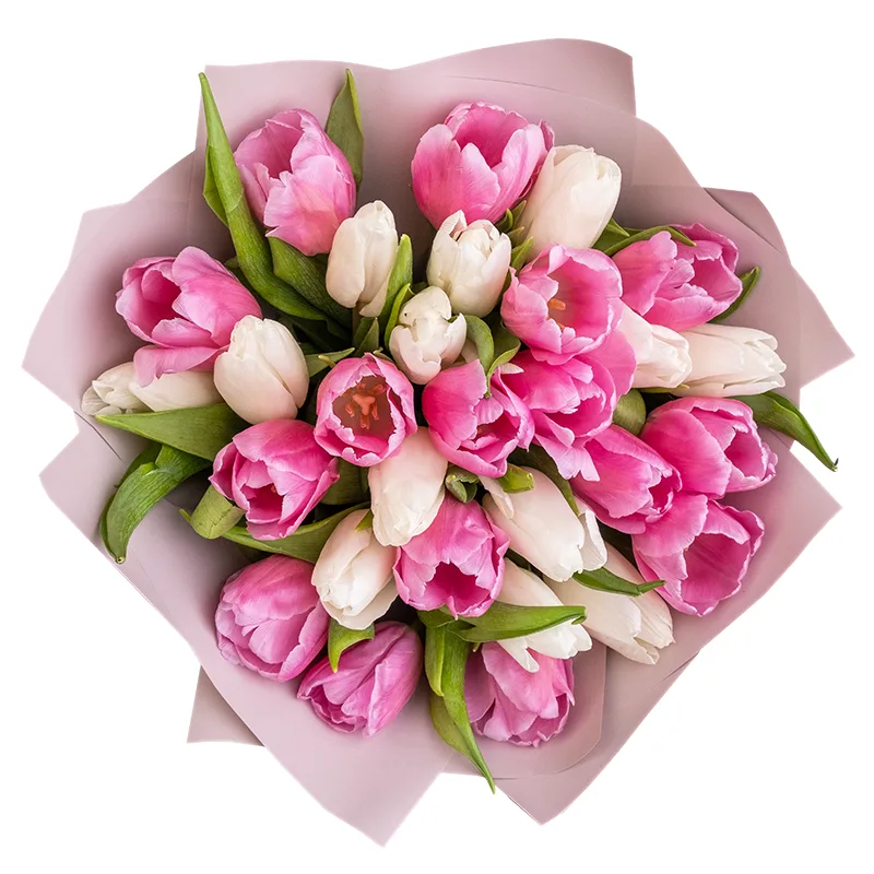 Букет из 29 белых и розовых тюльпанов (02033)