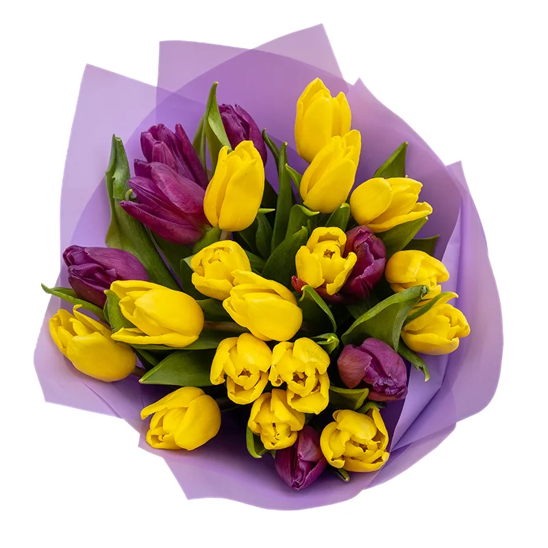 Букет из 23 желтых и фиолетовых тюльпанов (02052)