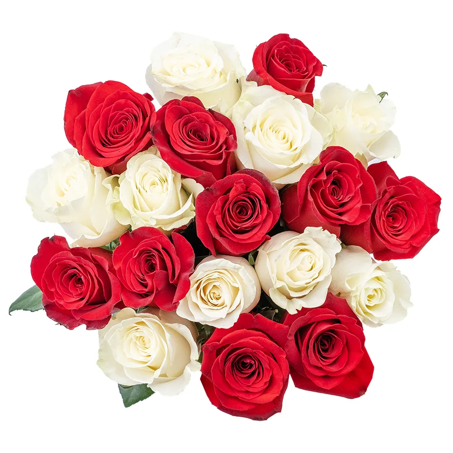 Букет из 19 красных и белых роз Фридом и Мондиаль (02218)