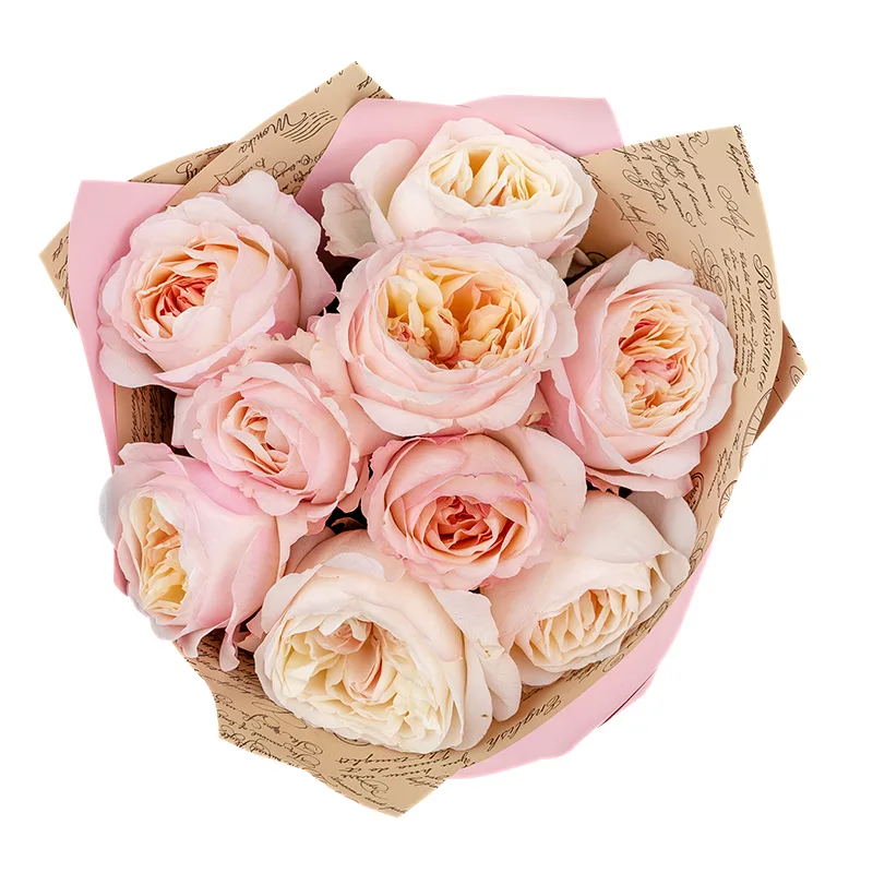 Букет из 9 розово-кремовых садовых роз Дэвида Остина Кейра (01383)