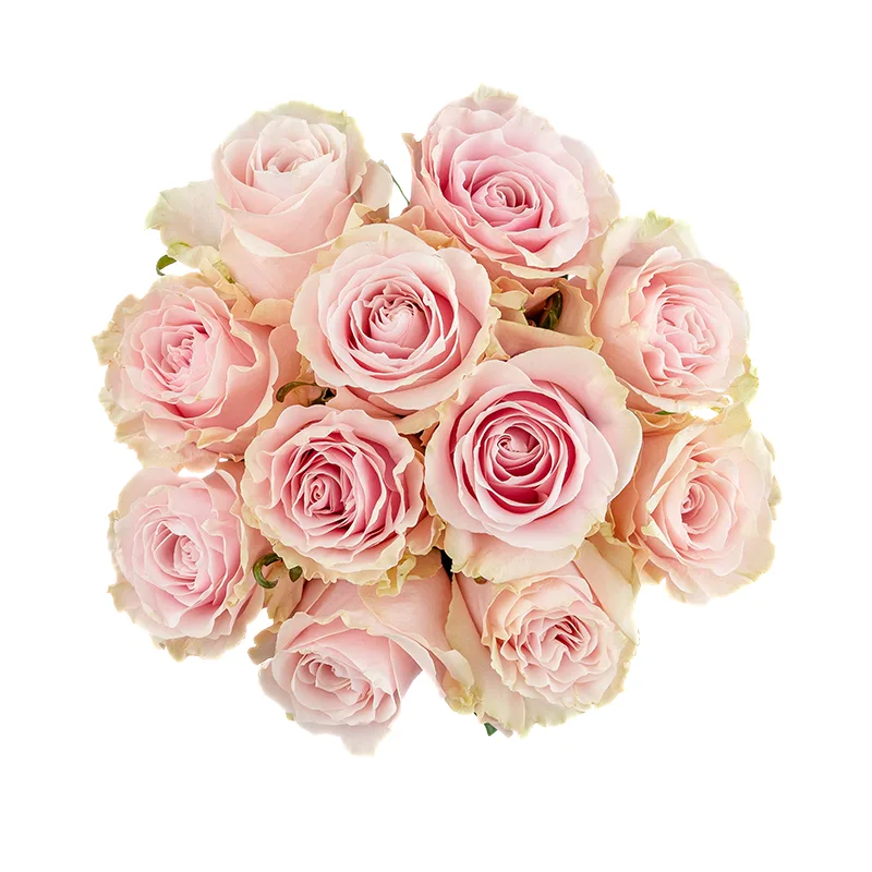 Букет из 11 розово-кремовых роз Пинк Мондиаль (01564)