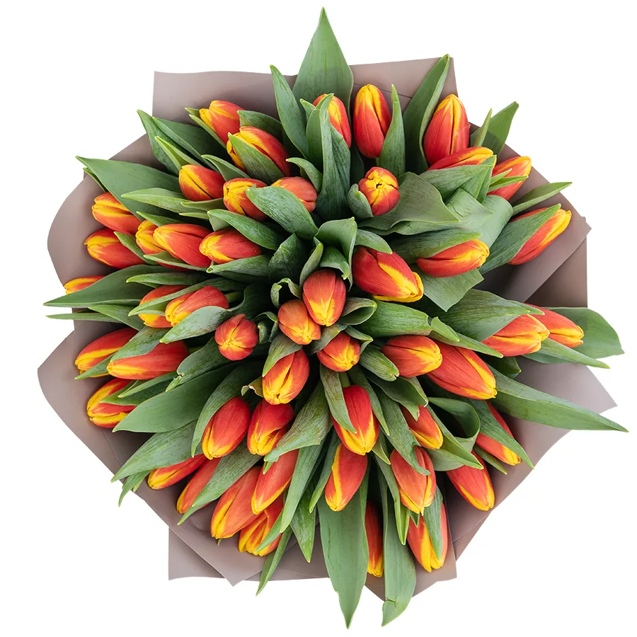 Букет из 49 оранжево-красных тюльпанов (03037)