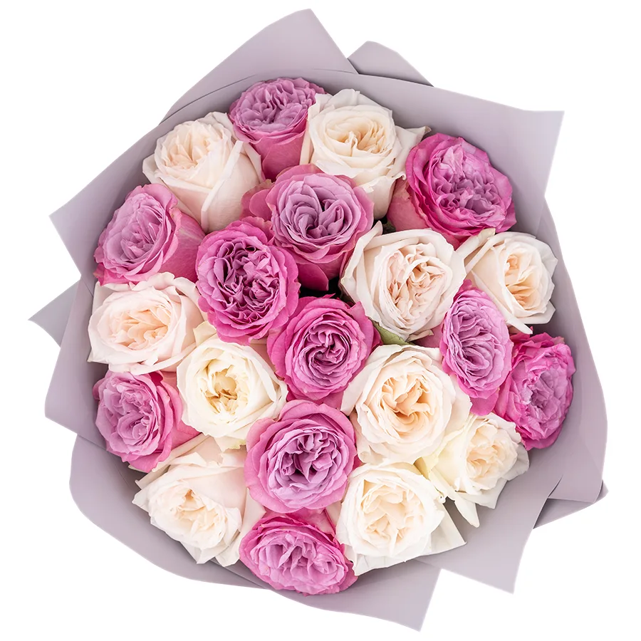 Букет из 21 белой и сиреневой садовой розы Вайт О'Хара и Квинс Краун (02548)