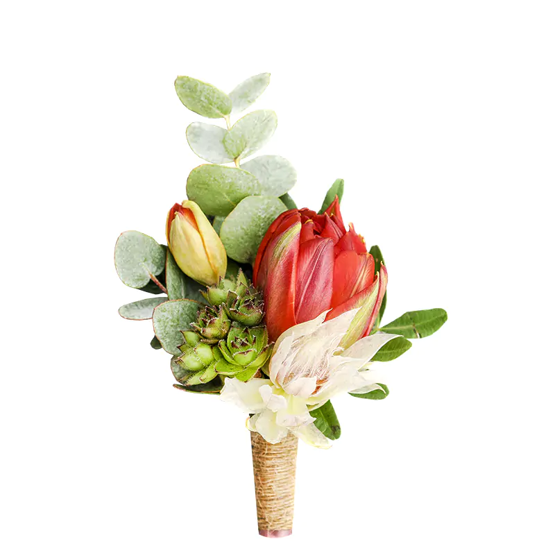 Бутоньерка из тюльпанов с эхевериями и брунией (00651)