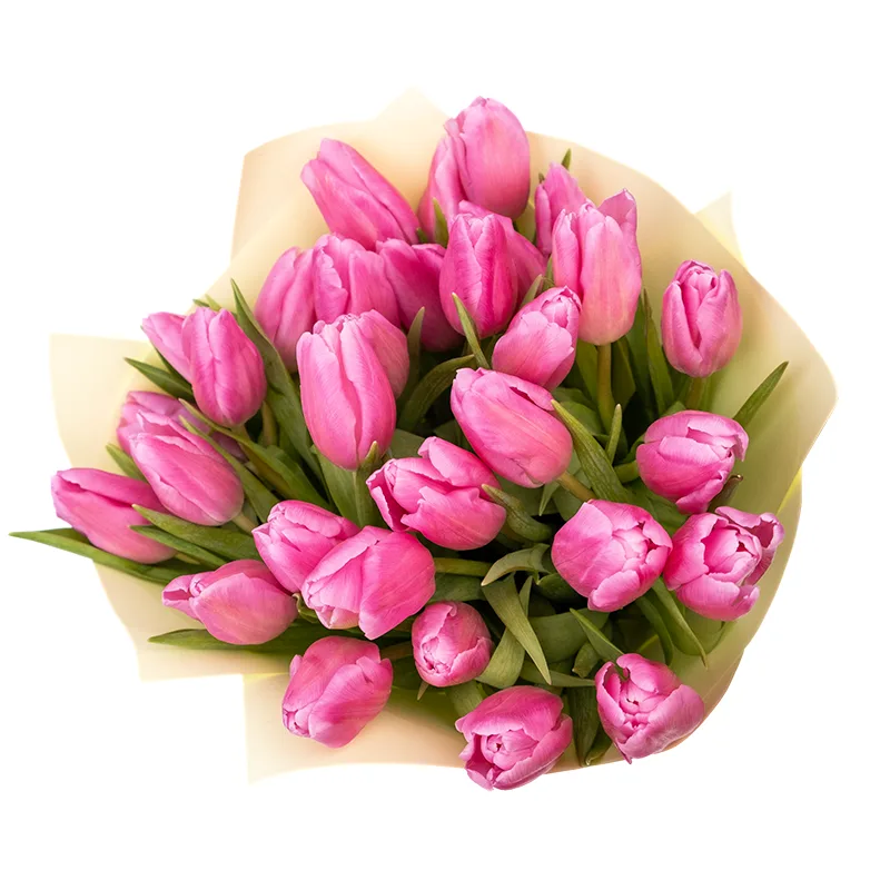 Букет из 31 розового тюльпана (01953)